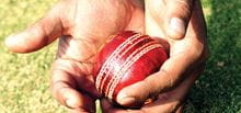Cricket ball catch